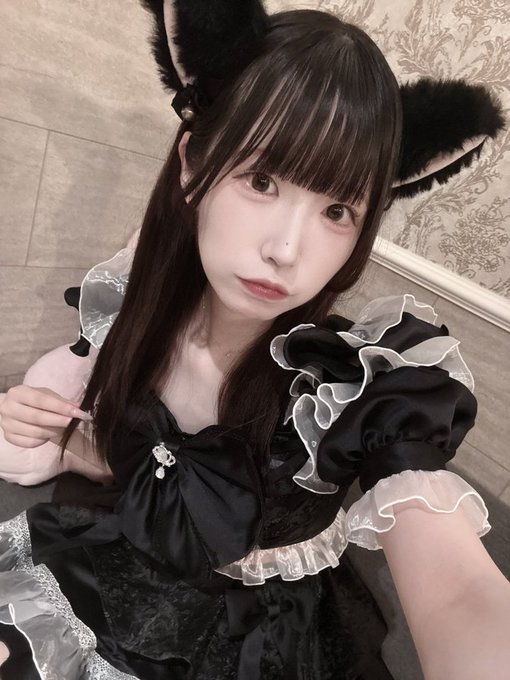 みゃおみゃお 秋葉原 コンカフェ ＆ メイドカフェのツイート