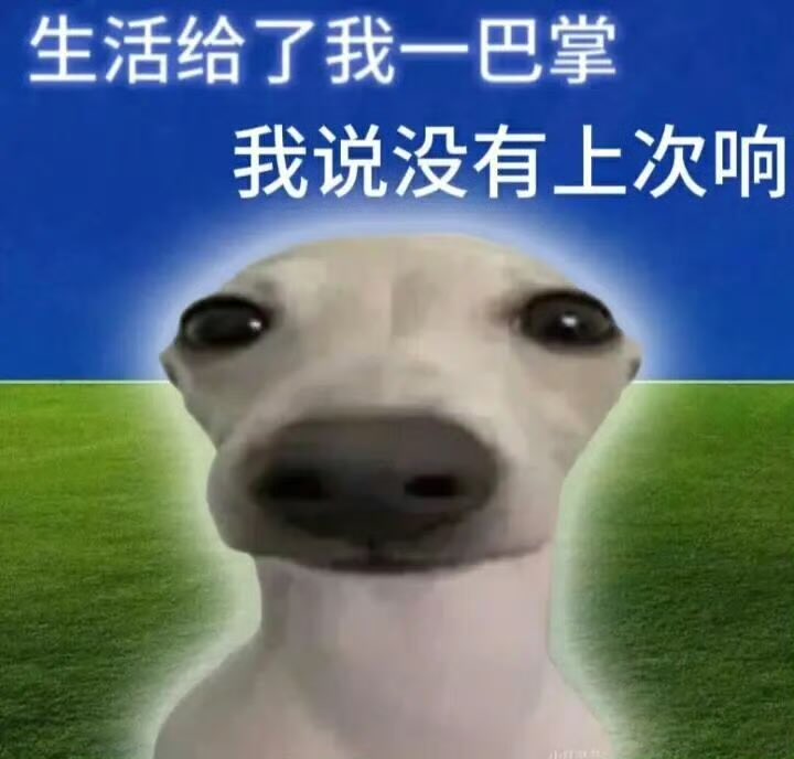 薯格种植 tweet media