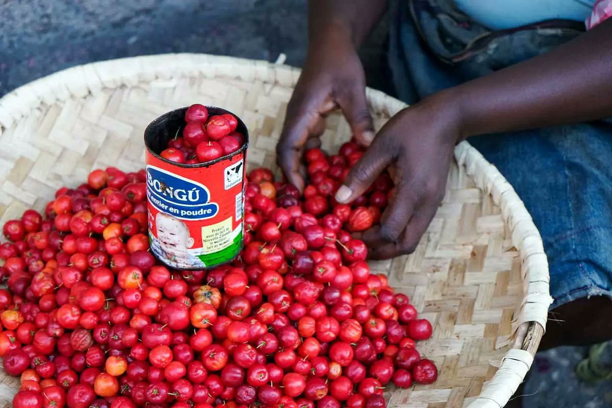 David Bruchon tweet media