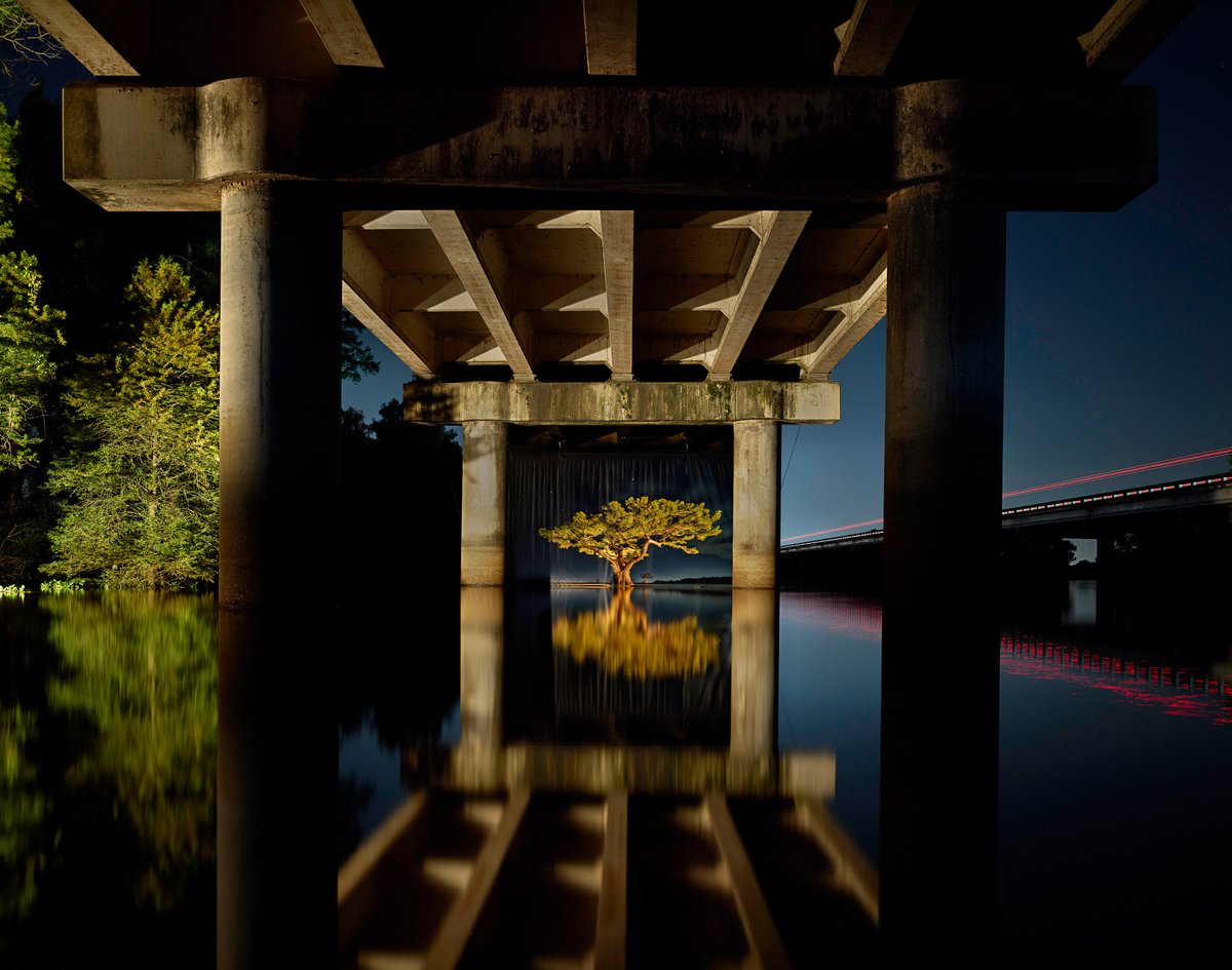 Frank Relle tweet media