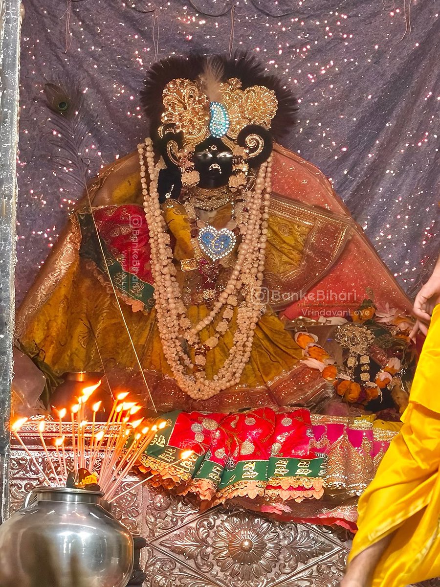 ठाकुर श्री बांके बिहारी लाल जू 🦚