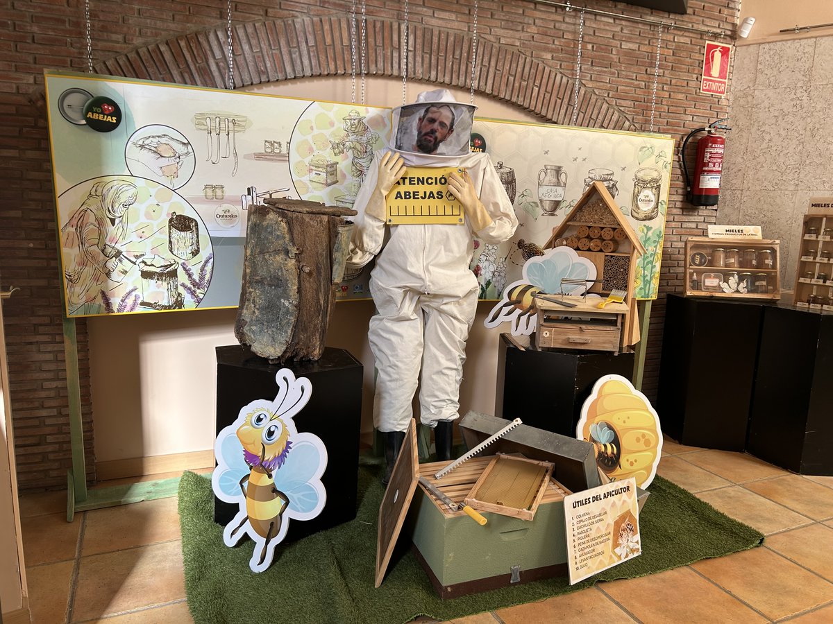 Desde hoy y hasta el 13 noviembre, puedes ver en nuestra Casa de Cultura la exposición didáctica "1000 y 1 Abejas" Una muestra que se completa con visitas organizadas para alumnos del colegio y del instituto. fuenmayor.org/index.php/ayun…