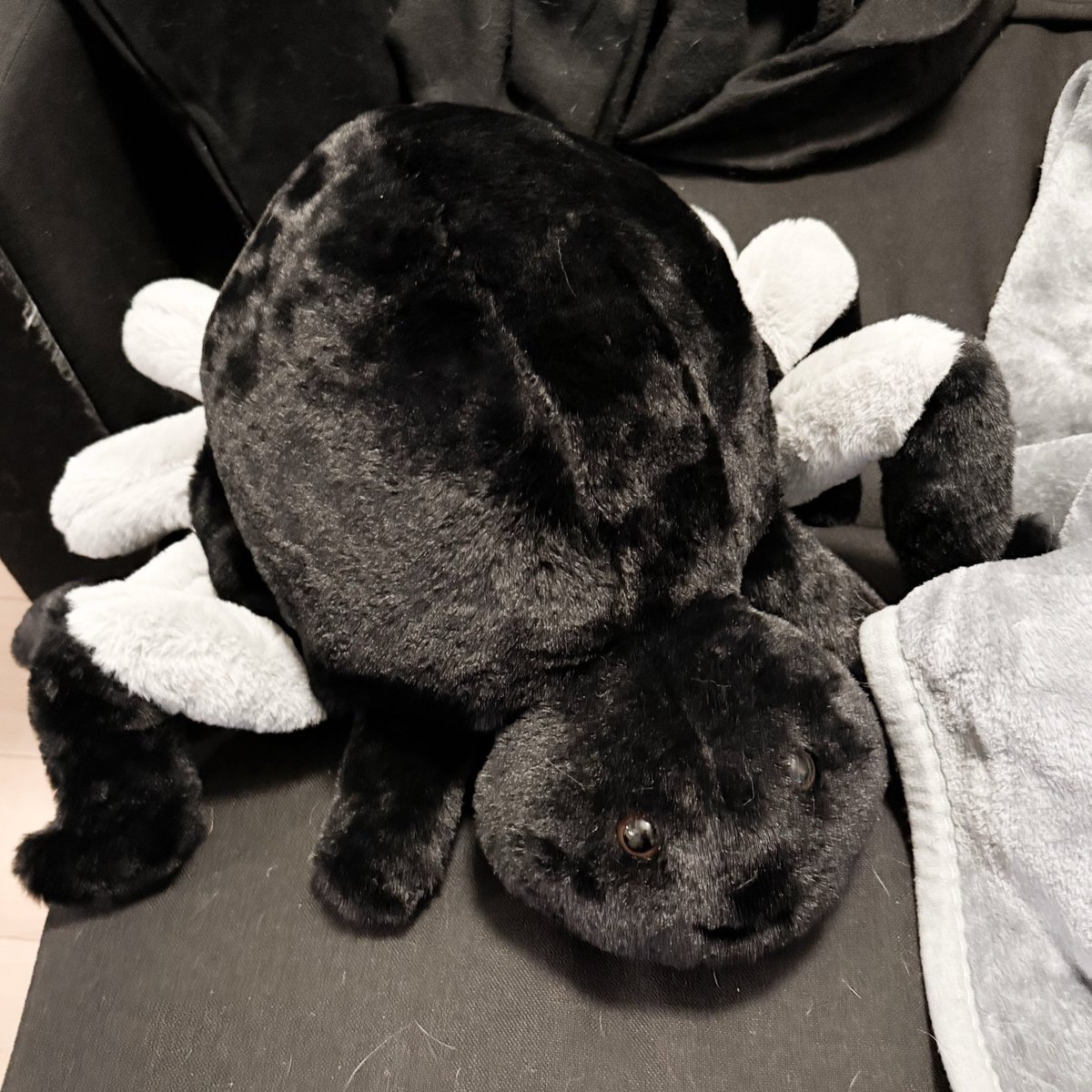 Saw this on the way home, had to get it
Cannot stop giggling, it’s beyond adorable 
Also got super sick so now I’m bedridden yay