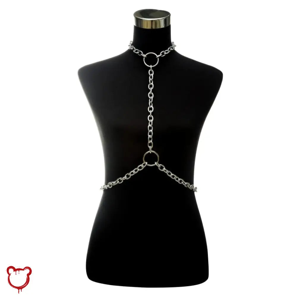 I just received Silver harness body chain by The Cursed Closet from karrde via Throne. Thank you so much! throne.com/ninjaspaceunic… #Wishlist #Throne