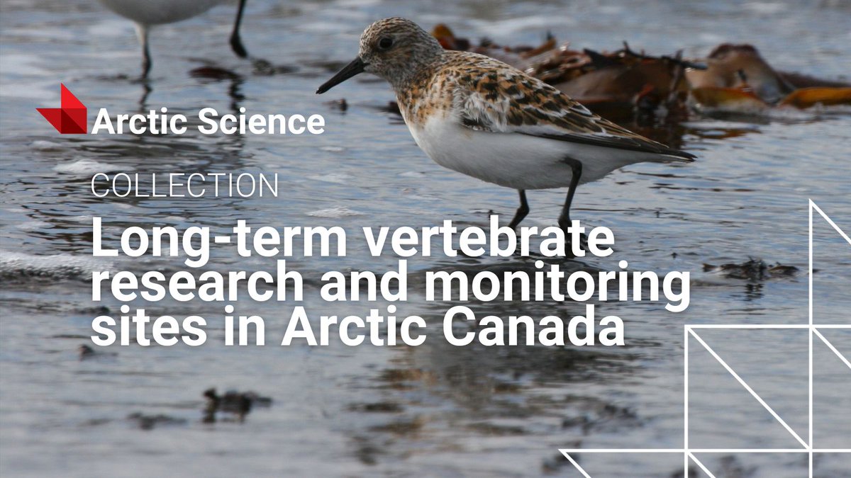 cdnsciencepub's tweet image. Discover Long-term vertebrate research and monitoring sites in Arctic Canada, a new @ArcticScienceJ collection highlighting the history and impact of key Arctic research stations built to study wildlife over decades.
Start here ▶️ ow.ly/e3eI50X7g0v
#ArcticScience…