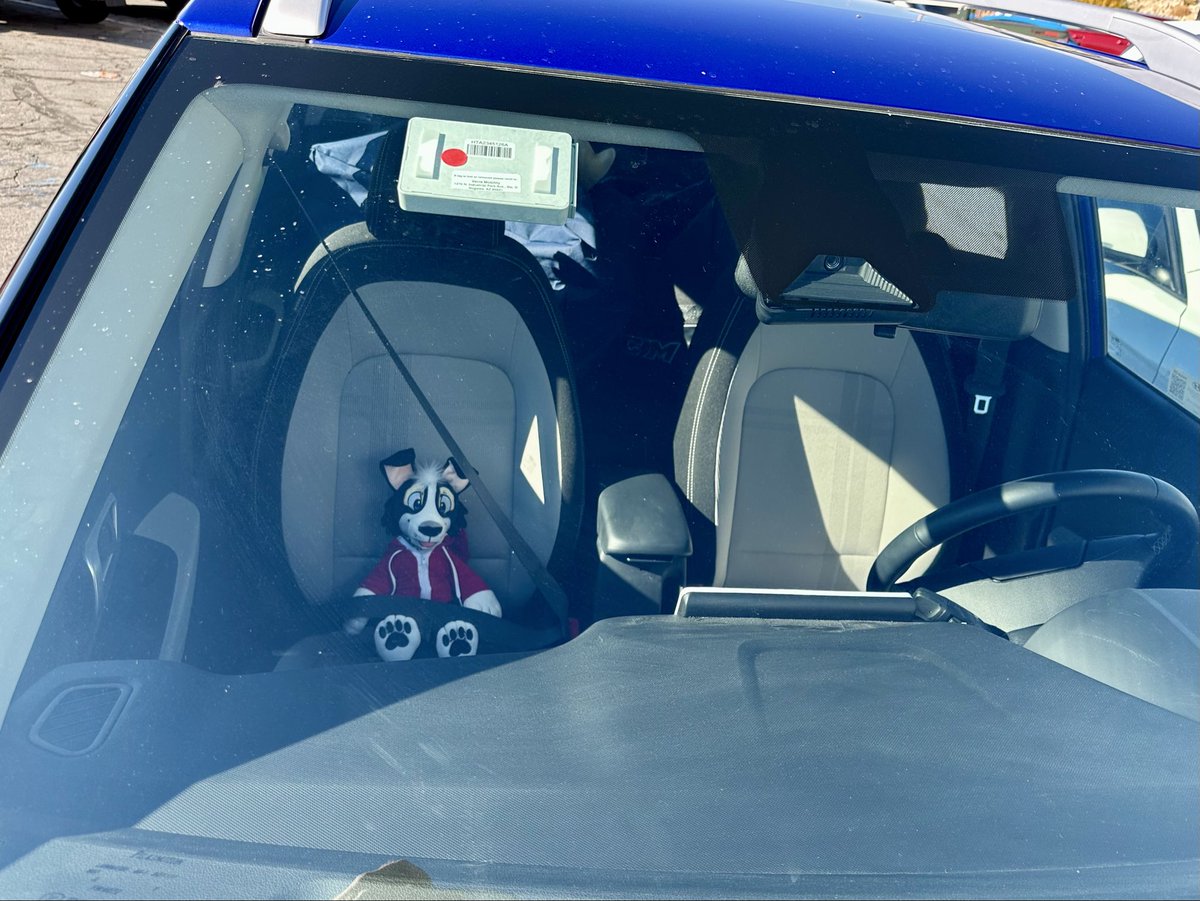 Ready to go on an adventure! @softcandytoys