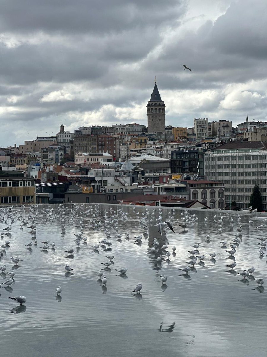 Bugün İstanbul Modern Sanat Müzesi'ni ziyaret ettim, müzenin seçkin koleksiyonlarını gezmekten ve incelemekten memnuniyet duydum. Ayrıca Müze Yönetim Kurulu Başkanı Sn. Oya Eczacıbaşı ile bir araya geldim. Görüşmede ortak iş birliği yolları ele alındı.