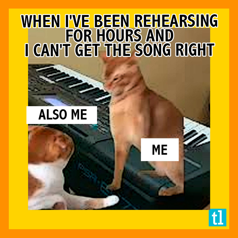 teds_list's tweet image. #PianoLovers #PianoCommunity #PianoHumor #pianomemesera