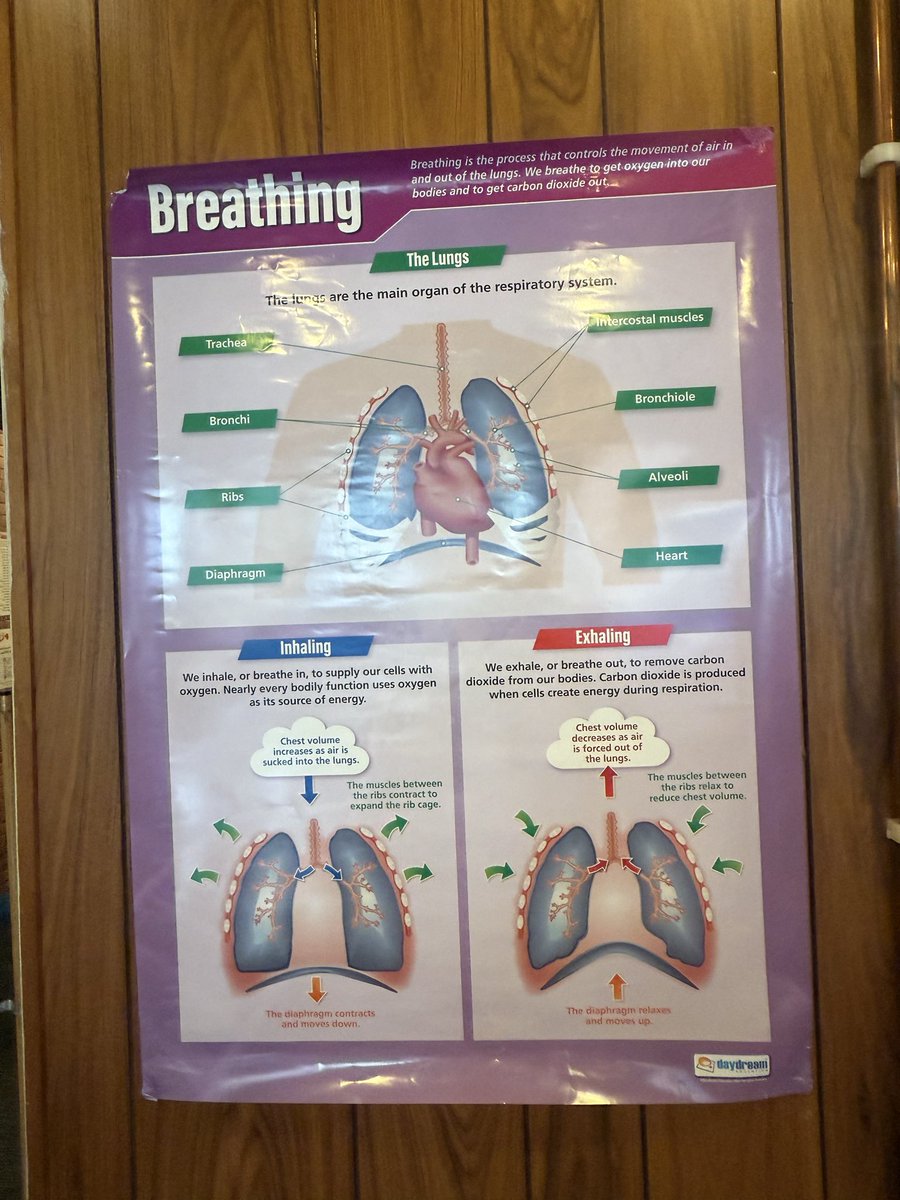 Great morning supporting respiratory and lung health with people experiencing homelessness <a href="/sabinamelb/">Melanie Brown</a>  <a href="/SpeersColin/">Colin Speers</a>