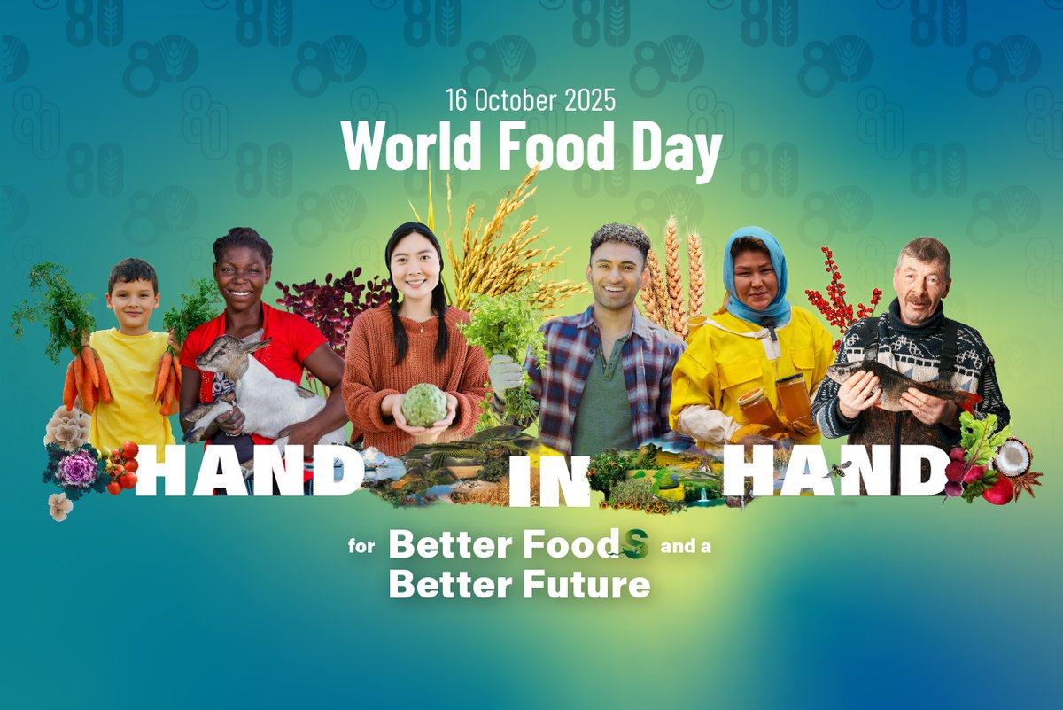 Today is #WorldFoodDay
🙌Hand in Hand for Better Foods and a Better Future, we can turn ambition into action

▶️Together with communities, governments &amp; partners, <a href="/WFP/">World Food Programme</a> is pushing for resilient #foodsystems, sustainable #nutrition &amp; inclusive agriculture so no one gets left behind