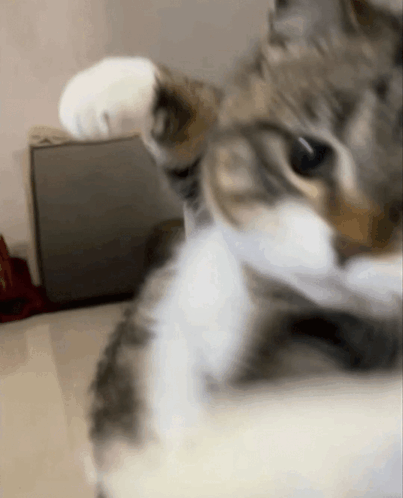 200DMA I NOH HUE CAN HEAR ME. PLZ DON'T HODL.