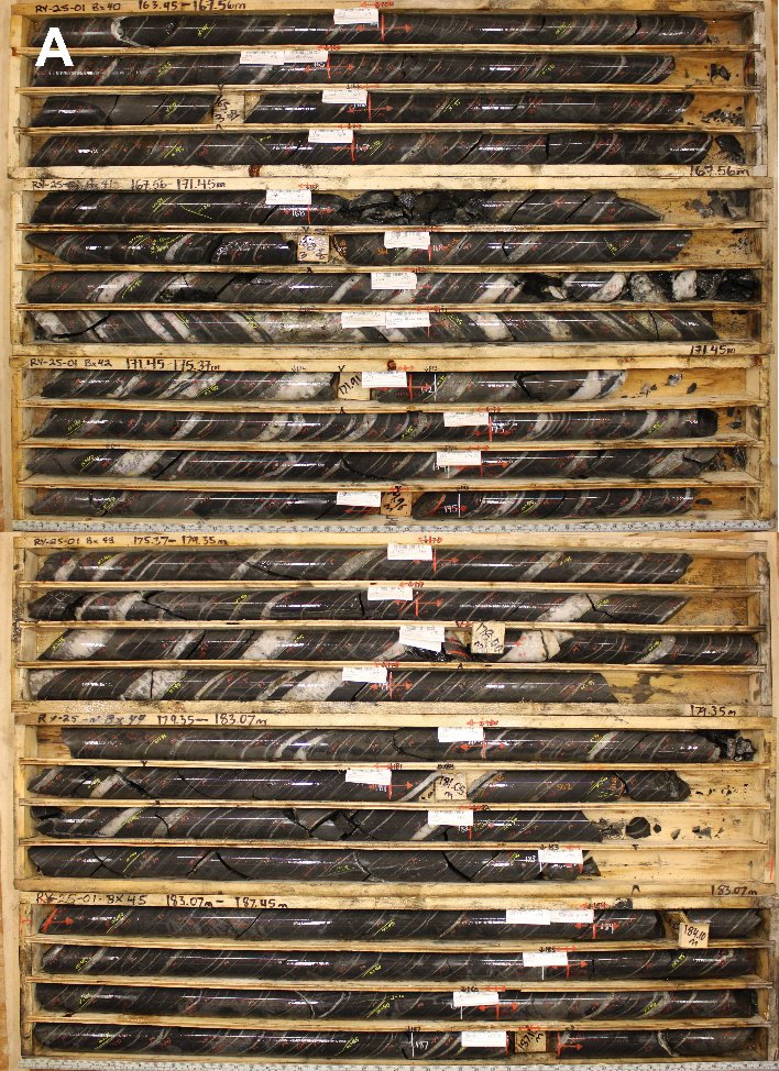 Rye Project Drilling - Hole RY-25-01 (Assays Pending) 🔥

⛏️ Hole RY-25-01 cut a 224 m wide zone (from surface) of hornfels hosting an abundance of sheeted quartz-pyrrhotite-chalcopyrite±arsenopyrite±scheelite veins, with local vein densities greater than 25 per metre. This