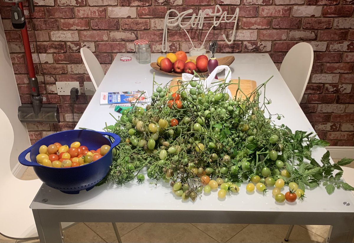 Ruth Swailes tweet media