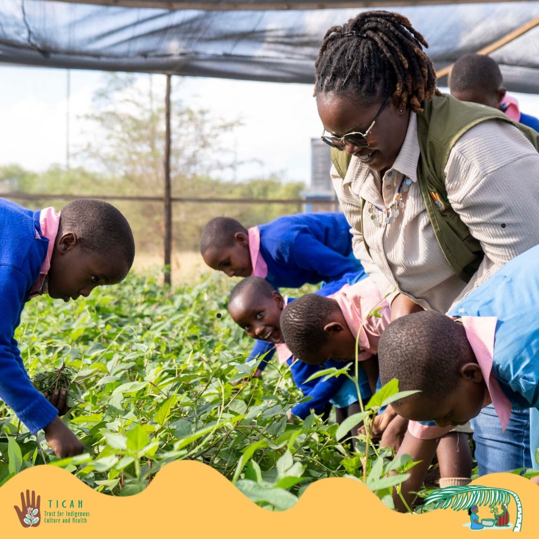 As we mark #WorldFoodDay2025 🌾, we celebrate farmers, youth &amp; 4K Clubs nurturing indigenous seeds and local food traditions. 🌱
Young people are rediscovering their roots, growing traditional crops &amp; learning from elders. 💚

 #SeedsOfResilience #4KClubs #TICAH