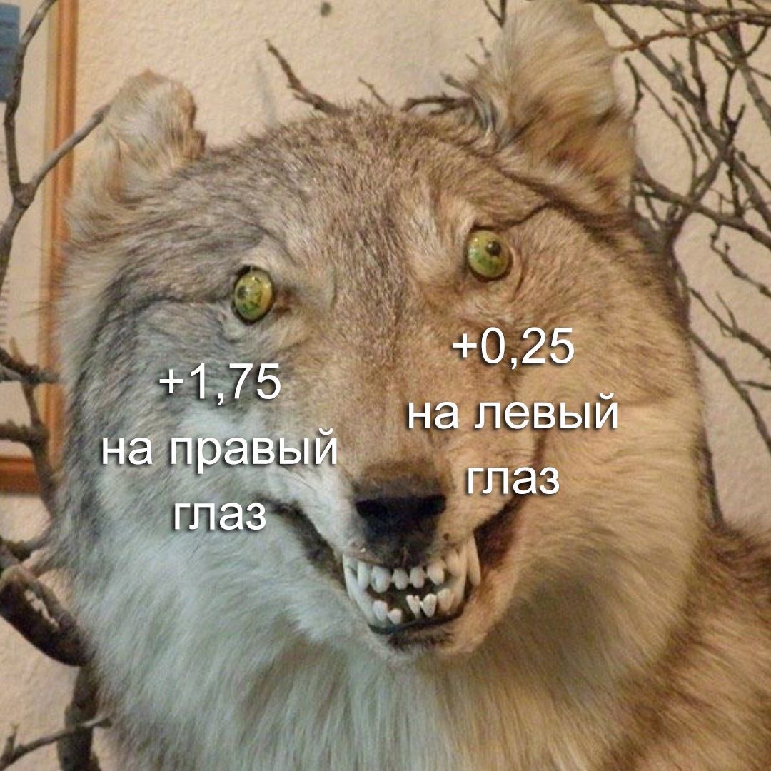 Реклама:                           Мои плюсы:
готовы увидеть 
свои плюсы?