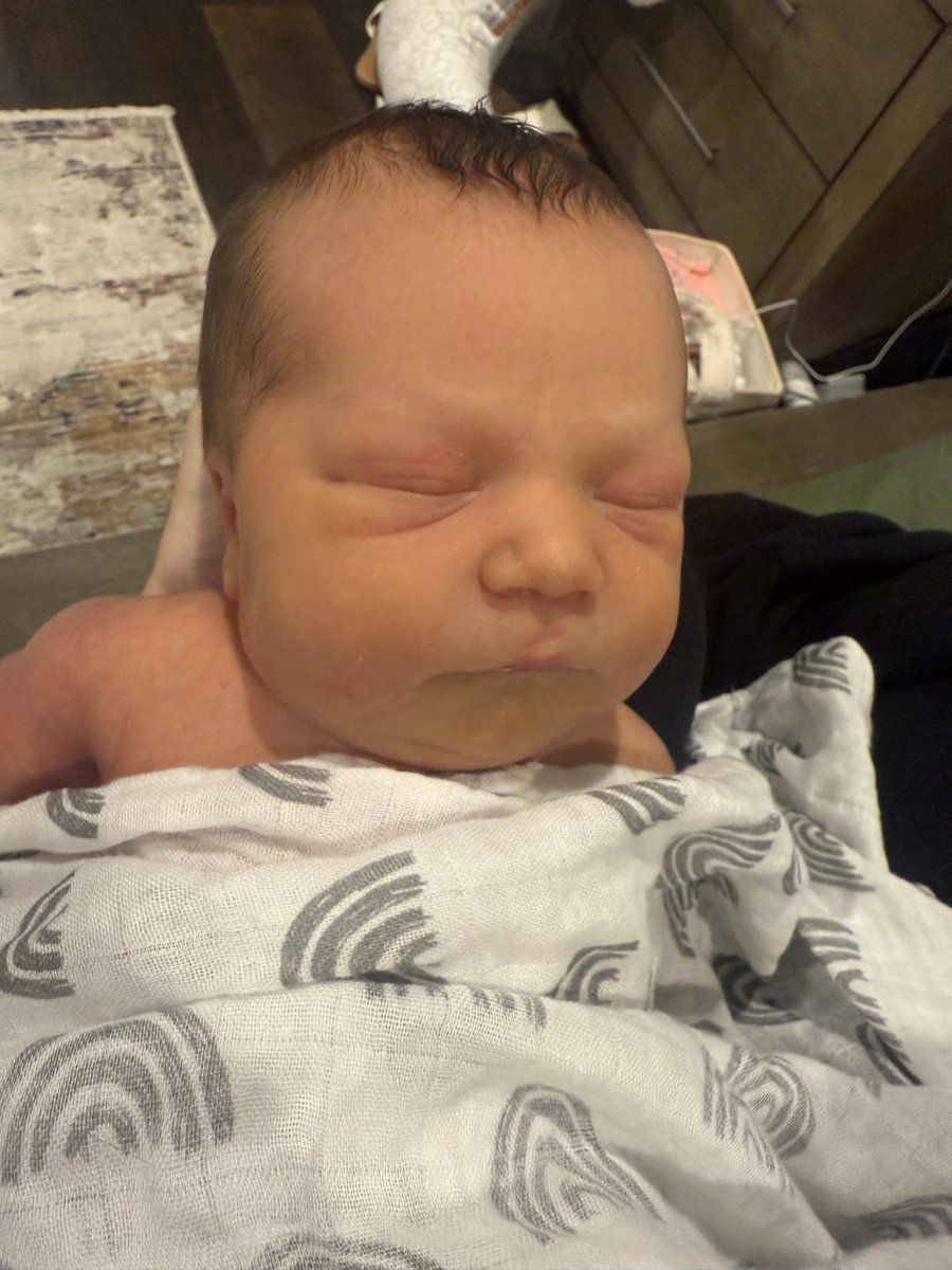 fandybtw's tweet image. Update:
Little Luna is a week old now 🥰 she’s doing very well and just sleeps and eats a lot. My heart is so full 😭♥️