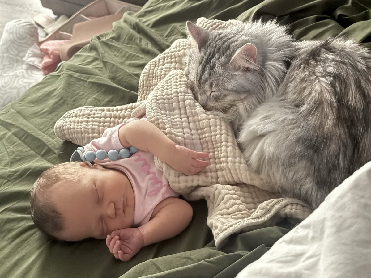 fandybtw's tweet image. Update:
Little Luna is a week old now 🥰 she’s doing very well and just sleeps and eats a lot. My heart is so full 😭♥️