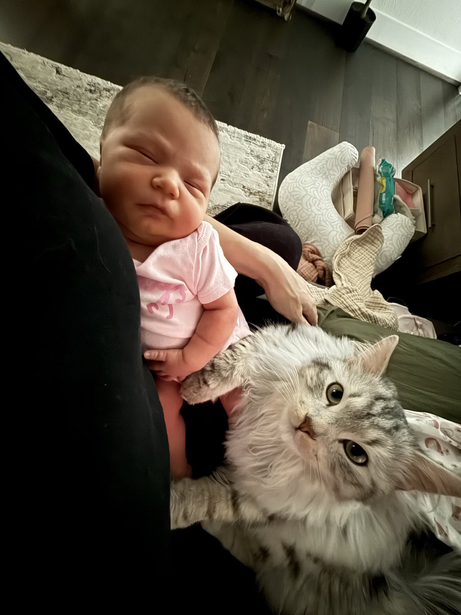 fandybtw's tweet image. Update:
Little Luna is a week old now 🥰 she’s doing very well and just sleeps and eats a lot. My heart is so full 😭♥️