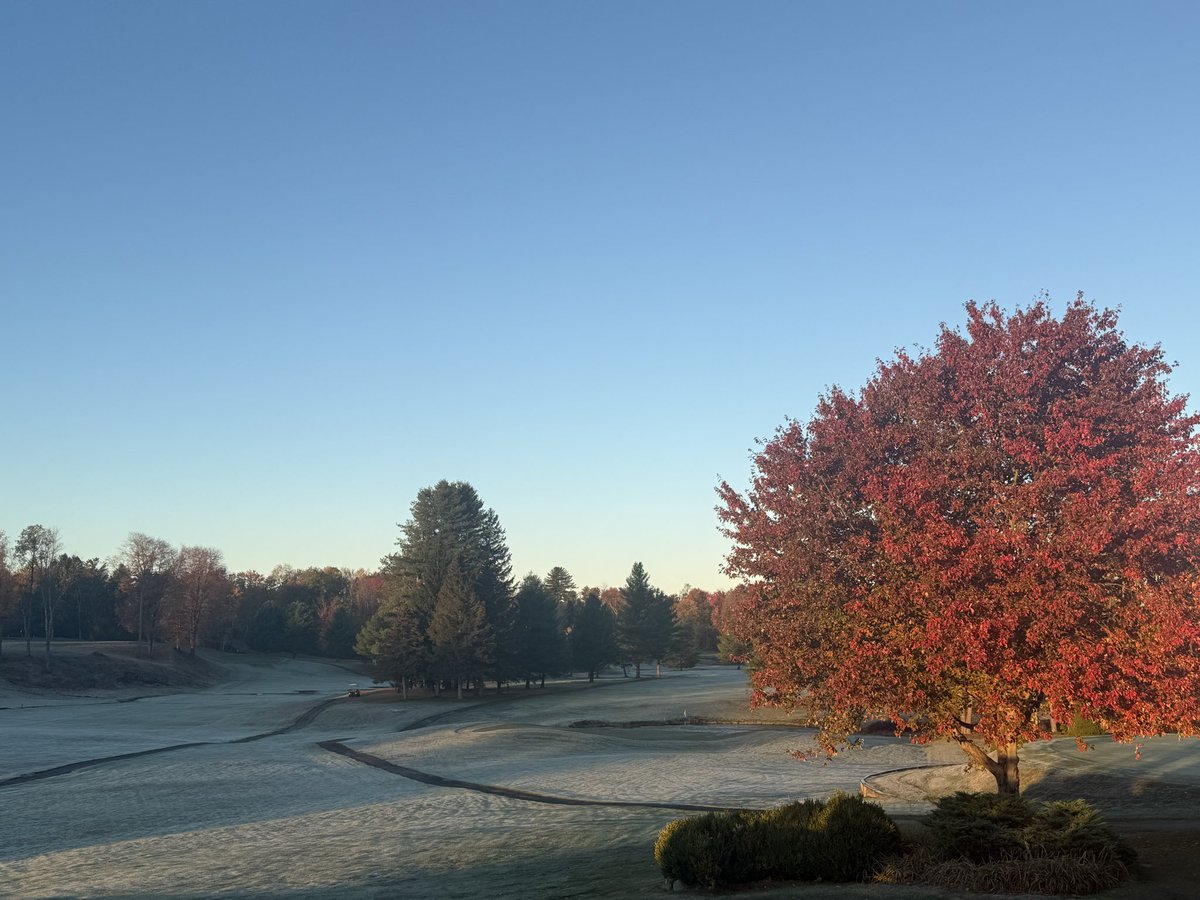 CountryRome's tweet photo. Frosty morning https://t.co/eBoP0AmN5T