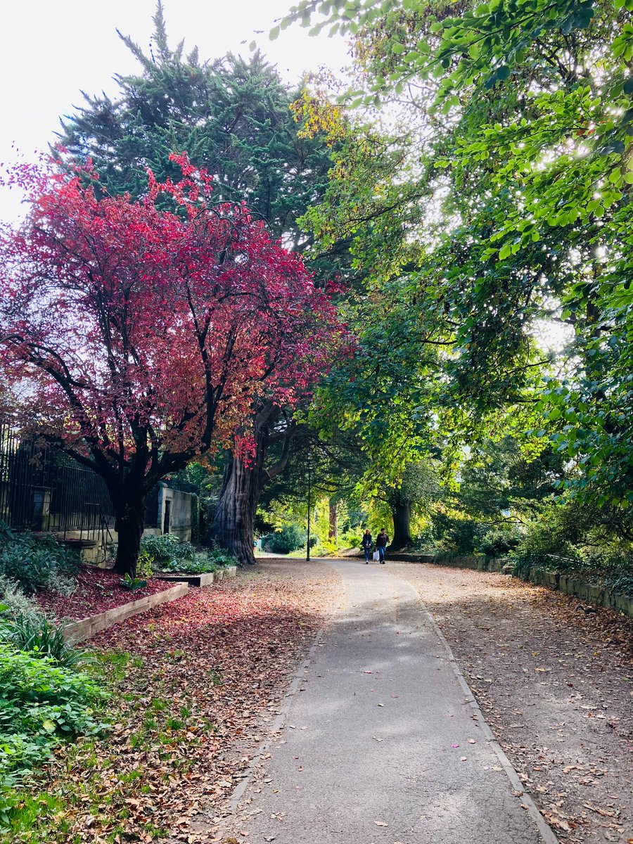 MarkBlezard tweet media