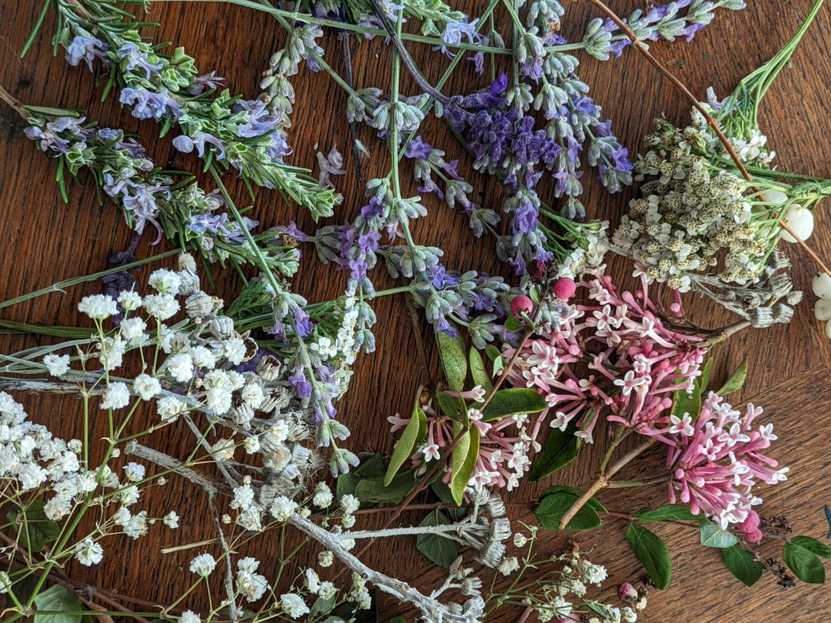 Mirandoline tweet media