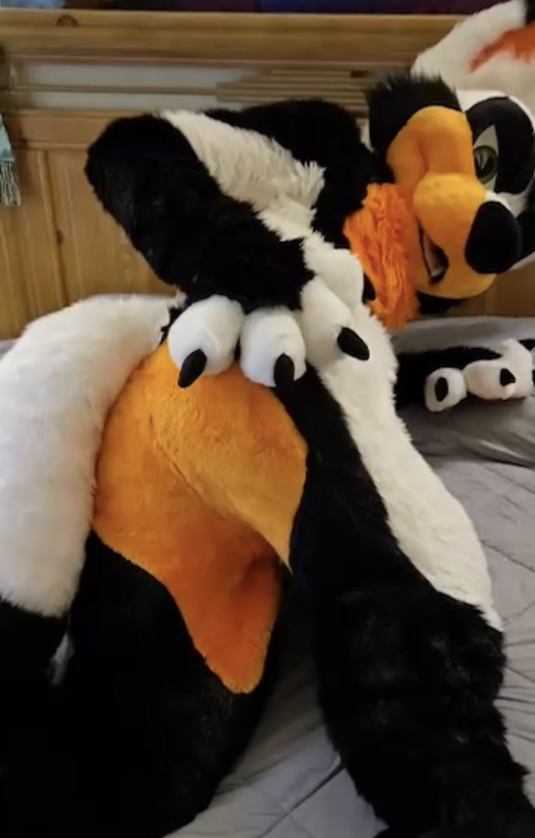 Zephyr_Jackal's tweet image. What flavor is your sona? 

It’s honestly the same picture 😅