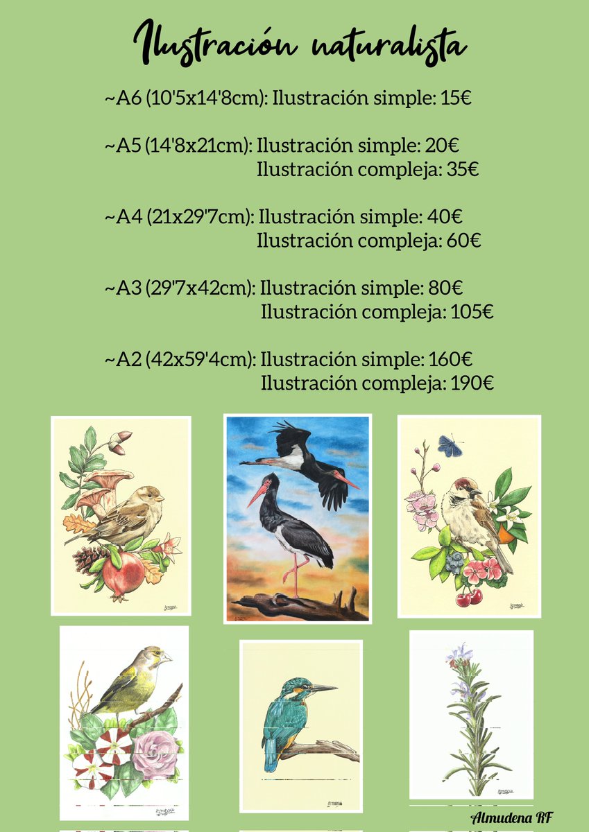 Almudena RF ✍️🎨 tweet media