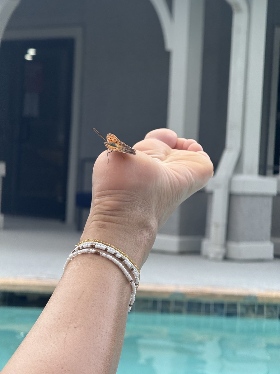 A butterfly was allowed. You won’t be. 
Ever.