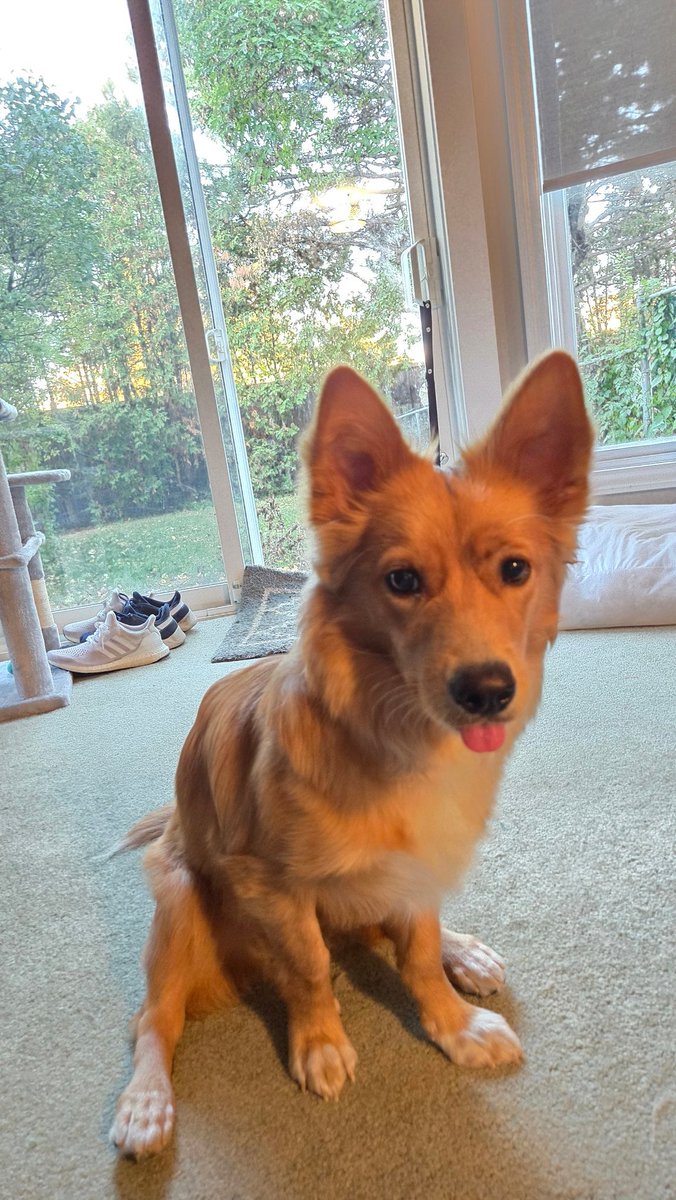 JayMay74 tweet media