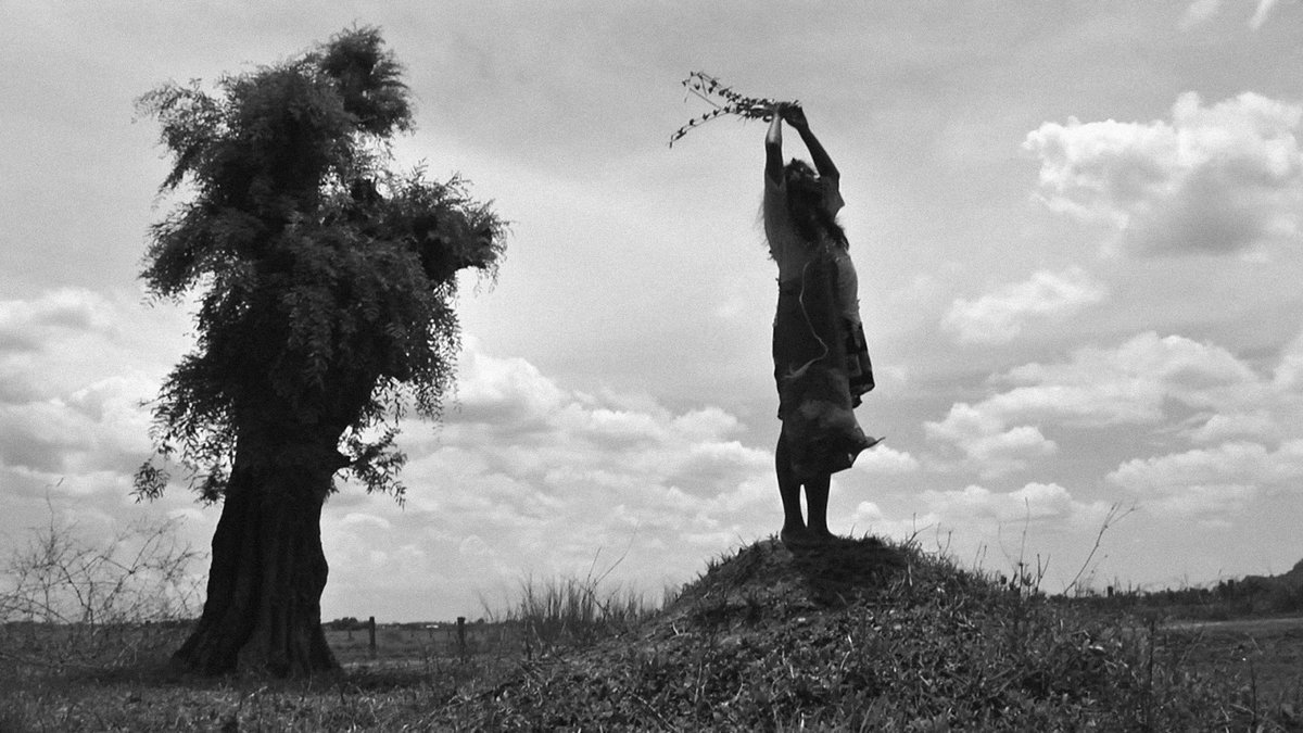 clubedodrivee's tweet image. The Turin Horse - O Cavalo de Turin (2011)
- Béla Tarr
- Drama
- 2h35m
- 🇭🇺

drive/torrent legendado (eng/ptbr/spa subs)