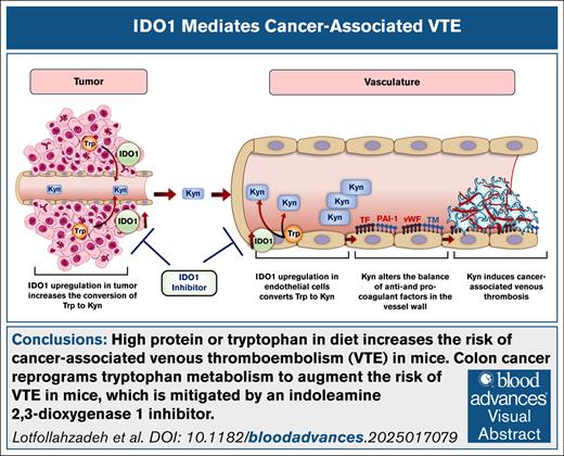 Blood Journal (@bloodjournal) on Twitter photo Colon cancer reprograms tryptophan metabolism to augment VTE risk in mice, which is mitigated by an IDO1 inhibitor. Read in Blood Advances: ow.ly/hgTf50XbOVN Colon cancer reprograms tryptophan metabolism to augment VTE risk in mice, which is mitigated by an IDO1 inhibitor. Read in Blood Advances: ow.ly/hgTf50XbOVN