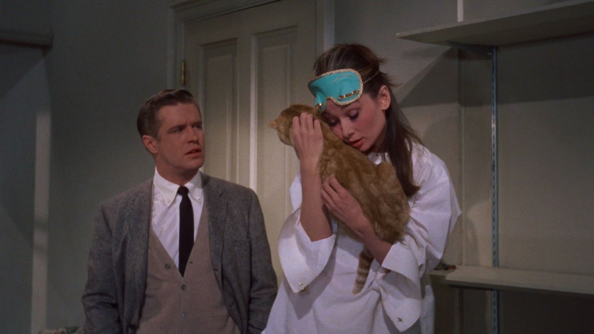 SoAudreyHepburn's tweet image. Audrey Hepburn, George Peppard and Orangey photographed for Breakfast at Tiffany's, 1961
