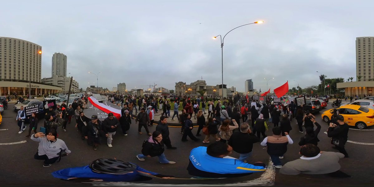 AleM2287's tweet image. La marcha de ayer también fue una oportunidad para alzar la voz contra la tala de árboles y los insostenibles proyectos como el Anillo Vial Periférico #Protesta #JoséJerí #Pajerin #Pajero #CentroDeLima #CercadoDeLima #PalacioDeJusticia #PlazaSanMartín #Violín #ParoNacional2025