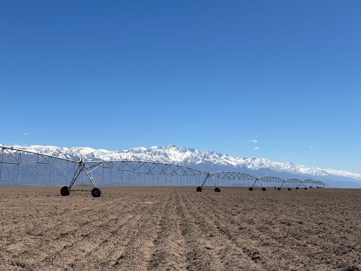 Linda postal de pivot valley con la cordillera nevada!