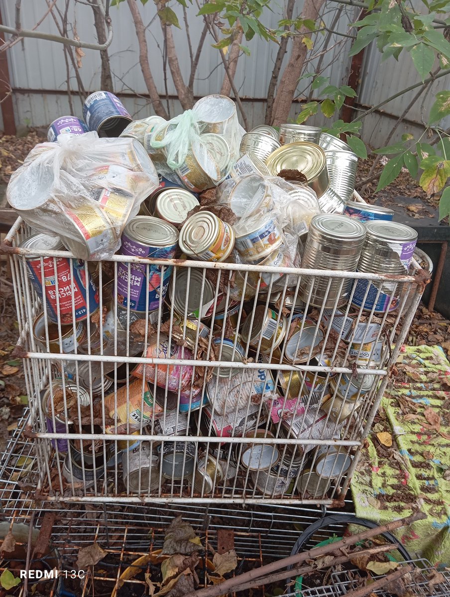 Коти заготовили ємності для Окопної Свічки, а ніхто не бере. Мабуть, люди наслухалися недолугих і лукавих  політиків, і думають, що війна скоро скінчиться? На жаль, кінця краю не видно. Так що, викидати чи хтось таки  забере?
Котомістечко, Київ, Зоологічна, 2, тел. 0675837089.