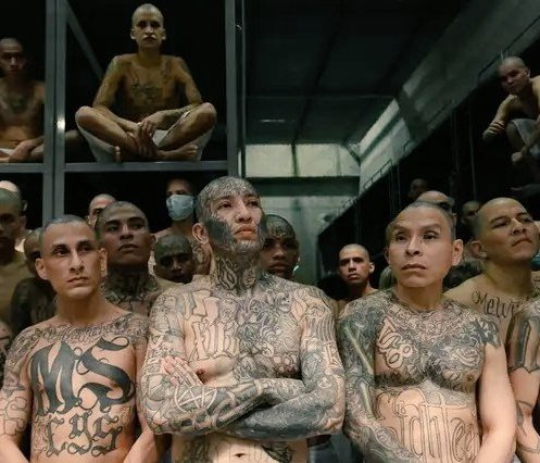 WillieDMack1's tweet image. First, the Democrats' Auto-Pen Puppet President, @JoeBiden caused Record Inflation with Massive Government spending and bum rushing our border with 20,000,000 Illegal Alien Freeloaders and Felons.
Now, Elizabeth "Pocahontas" Warren is complaining about the cost of everything.🤔