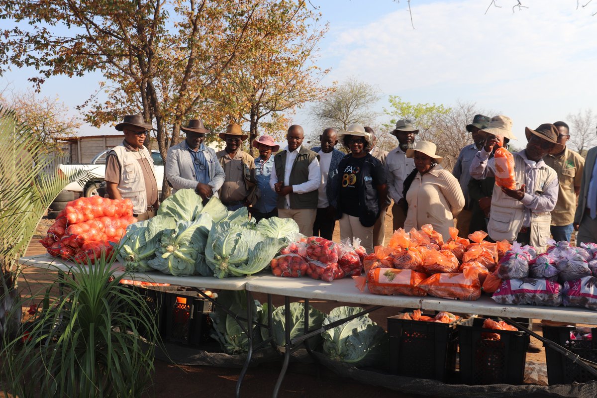 FAO Botswana tweet media