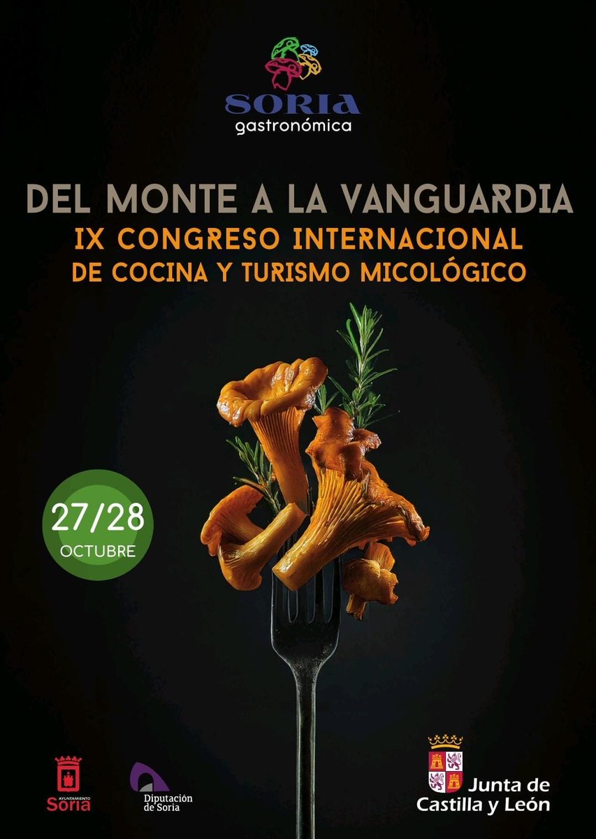 IX Congreso Internacional de Cocina y Turismo Micológico Soria Gastronómica -
🗓️  27 y 28 de octubre de 2025 - Soria
turismocastillayleon.com/congresosoriag…