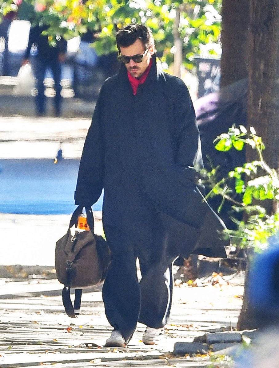HLDMedia's tweet image. Harry walking in New York recently.