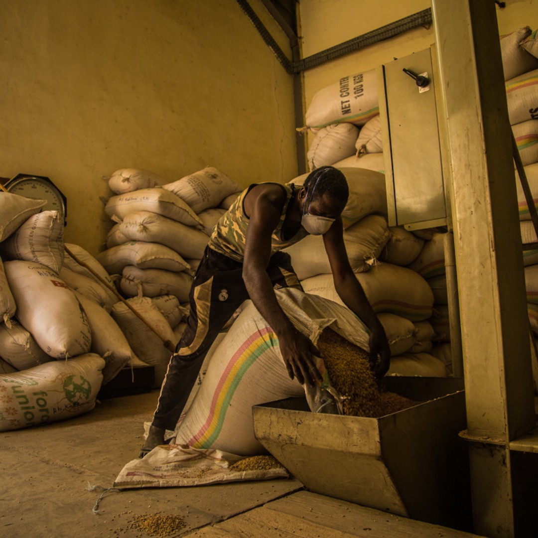 Infrastructure Finance (@wbg_ppp) on Twitter photo 🌊Emergency response to drought & floods
🌱Distribution of seeds & fertilizers
📡Use of technology
The West Africa Food System Resilience Program shows how innovation and collaboration can help tackle food insecurity's causes & build a food-secure future: wrld.bg/GELV50XbTjn 🌊Emergency response to drought & floods
🌱Distribution of seeds & fertilizers
📡Use of technology
The West Africa Food System Resilience Program shows how innovation and collaboration can help tackle food insecurity's causes & build a food-secure future: wrld.bg/GELV50XbTjn