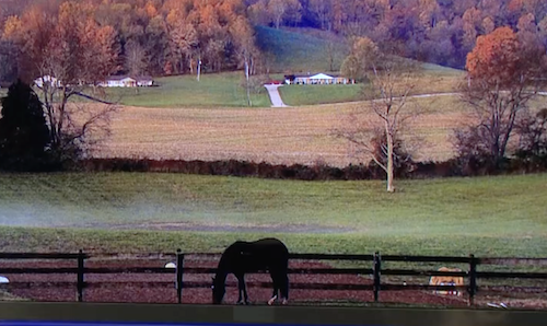 PubAffairsKET's tweet photo. After nearly a decade of population losses, rural Kentucky as a whole is experiencing an increase in the numbers of people living there. Alison Davis of @UKAgriculture and @BlueprintKY explains the uptick. https://t.co/TDpj98SDUJ https://t.co/GO4qg2nv3M