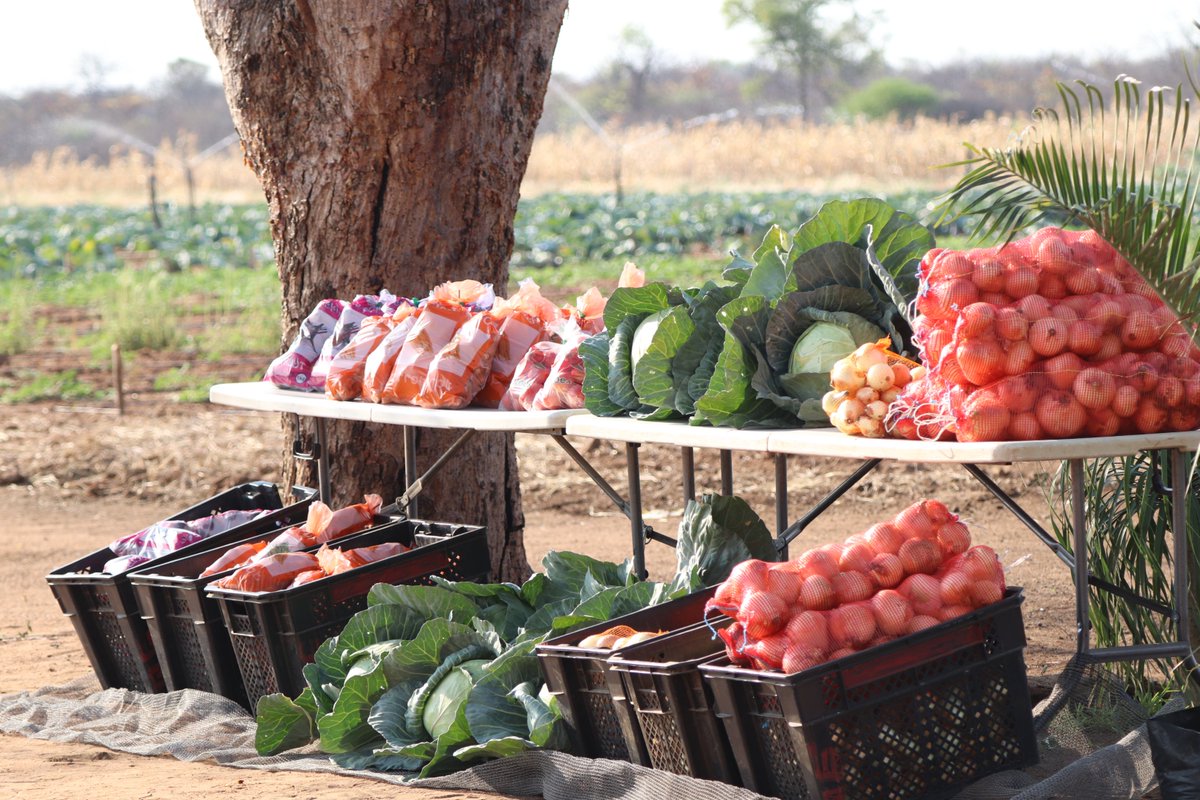 FAO Botswana tweet media