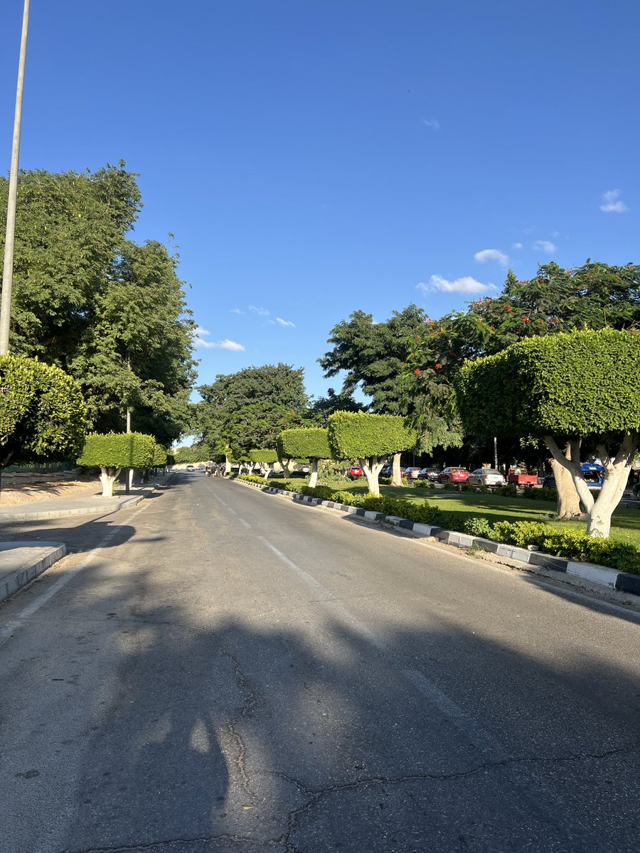 عندنا في مصر مدينه جميله هاديه منمقه نضيفه اسمها اسماعليه 🌱🌴🌿
فيها بيتزرع احلي مانجه في الدنيا 🥭🥭
البلد فيها كميه طبيعه وبساطه مش موجوده 
تمشي في شوارعها تلاقي طبيعه وشجر ونخل تقول سبحان الخلاق اللي خلق لوحات جميله 
مصر جميله ومليانه مدن جميله