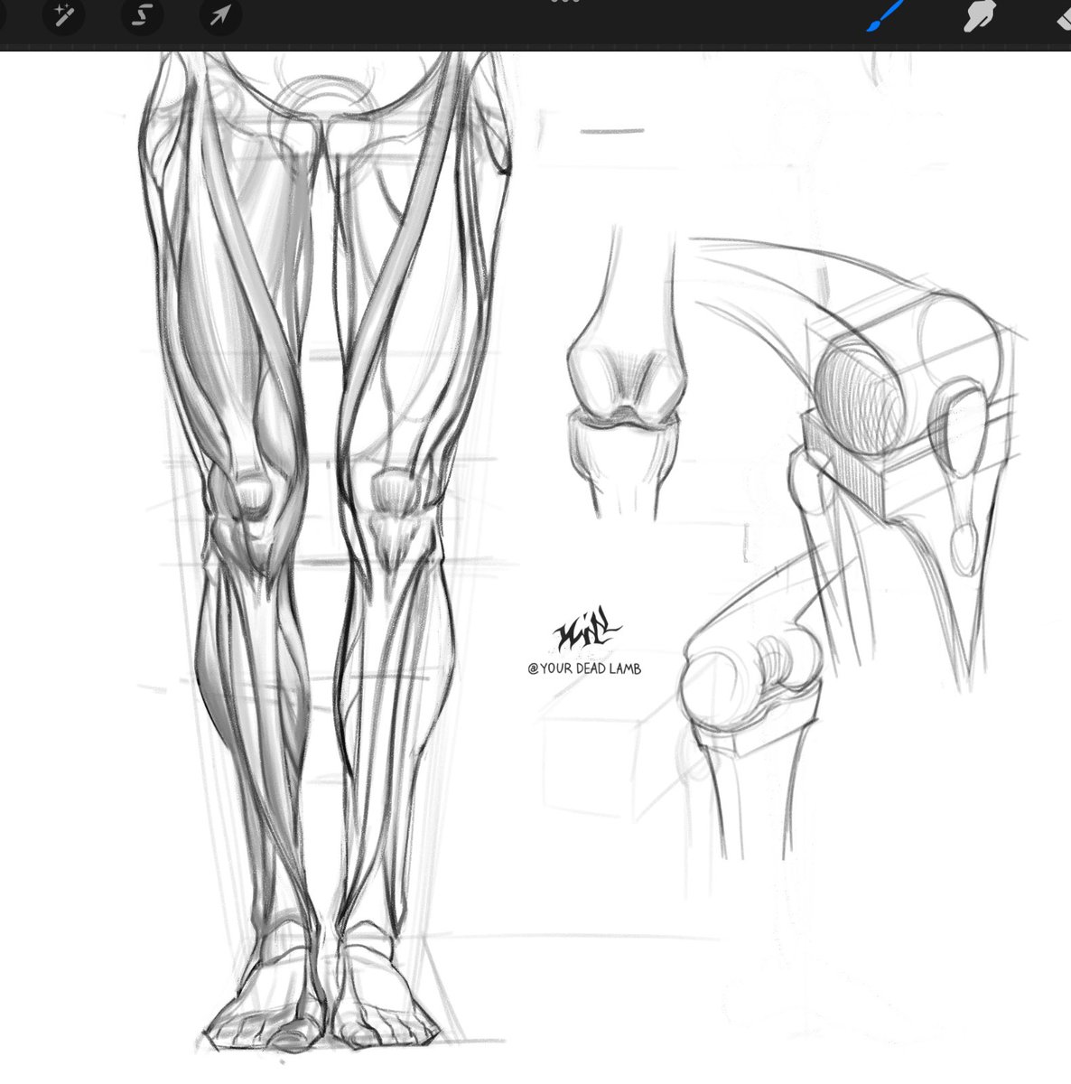 YourDeadLamb's tweet image. На загальній хвилі, стрельнуло вночі повернутися до вивчення анатомії 

#украрт #sketch #studyart