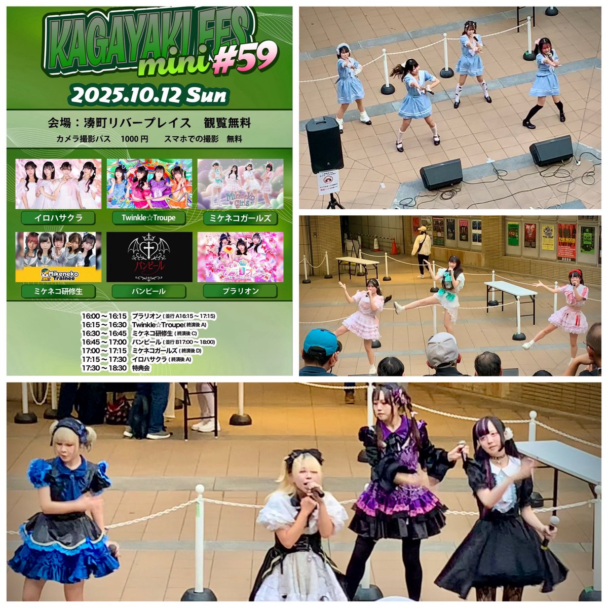 とらじろう 寅次郎🐬(とらじろう)🌷🐻 (@torajiro333) / Posts / X