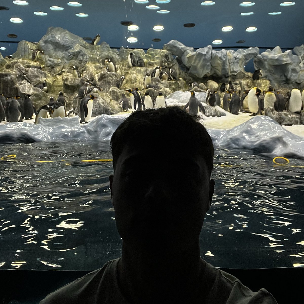 como en casa en ningún sitio