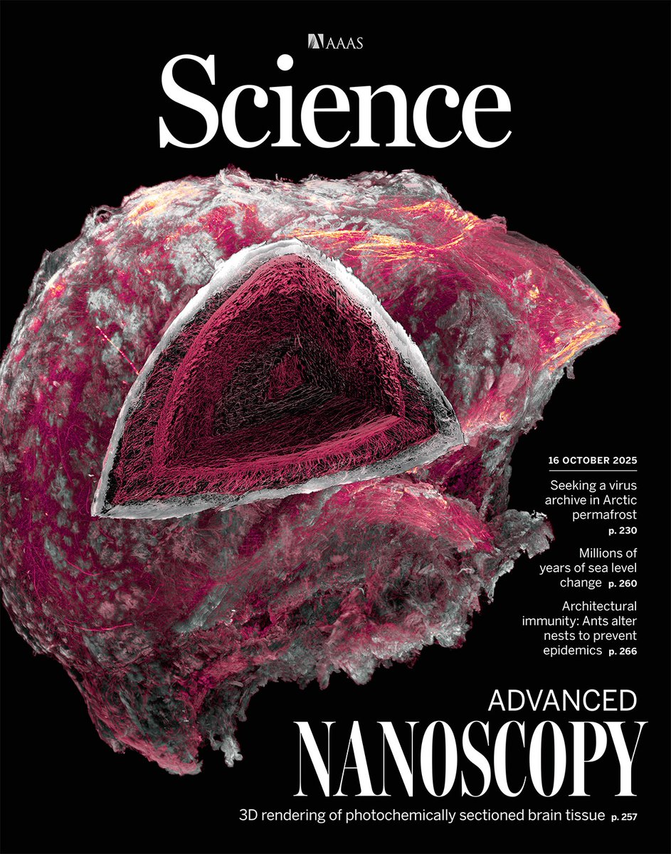 ScienceMagazine's tweet image. A new method called VIPS enables organ-wide nanoscale reconstruction for quantitative mapping of connectivity and molecular landscape in intact tissue.
Learn more this week in Science: scim.ag/3LdbQqH