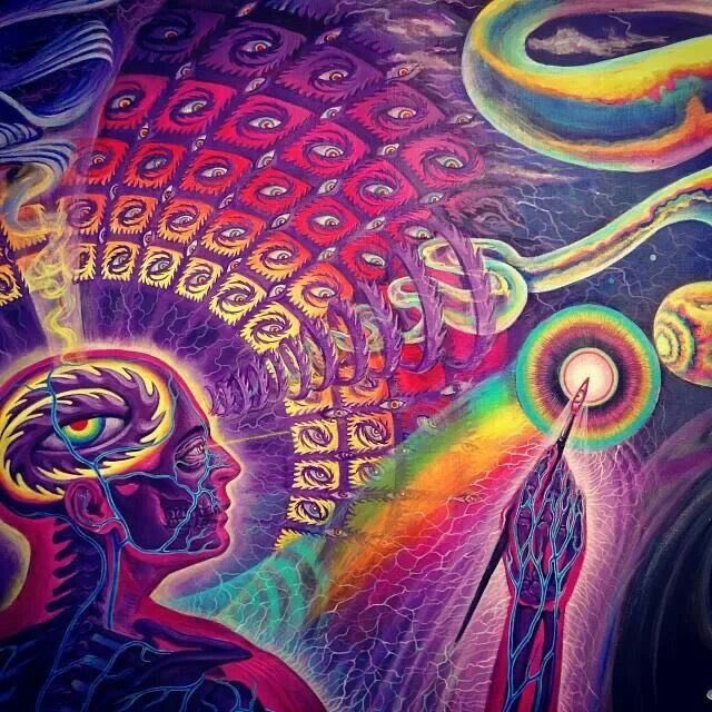 Enlightenment 🧘🏻‍♂️☮️🌍 tweet media