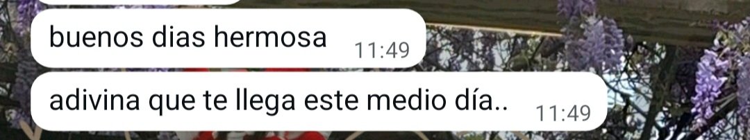 chumi ♡ ︎ tweet media