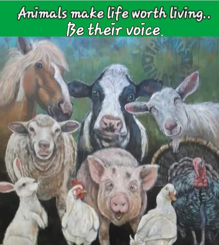 💚💚💚💚💚💚💚💚💚💚💚💚💚💚